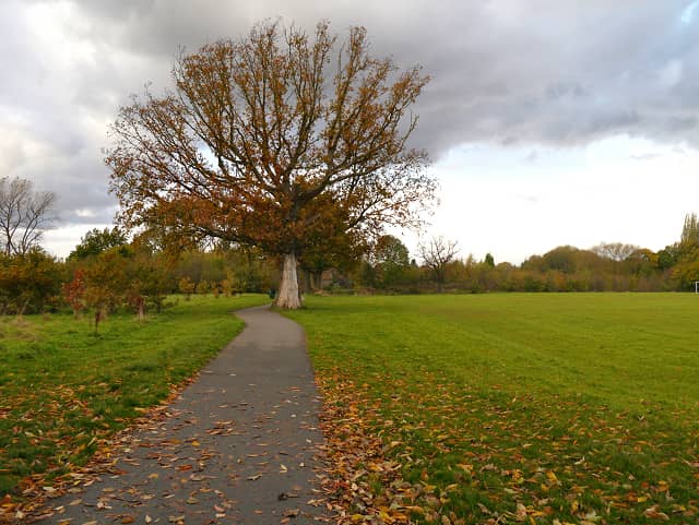 Heald Green Park